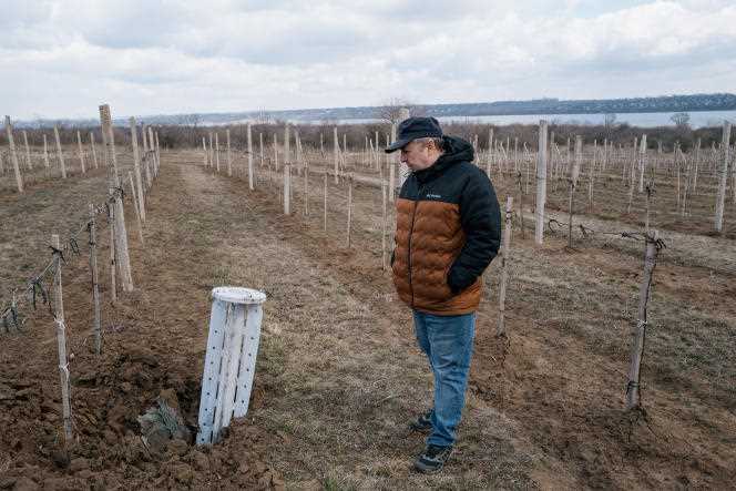A Smerch rocket (with cluster munitions) found in the vineyards of Mikhail Molchanov, east of Odessa (Ukraine), March 9, 2022.