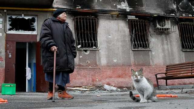Alte Frau und eine Katze vor einem zerstörten Haus in Mariupol (22.4.2022)
