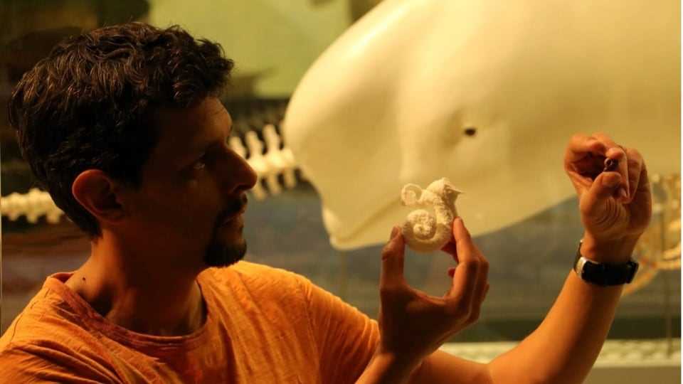 Aguirre holds up a fossil of a dolphin ear bone (right) and a 3D print of the inner ear (center).