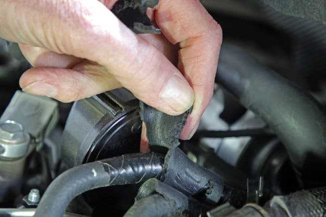 Car damage caused by martens biting hoses from a vehicle engine can pose a safety risk.