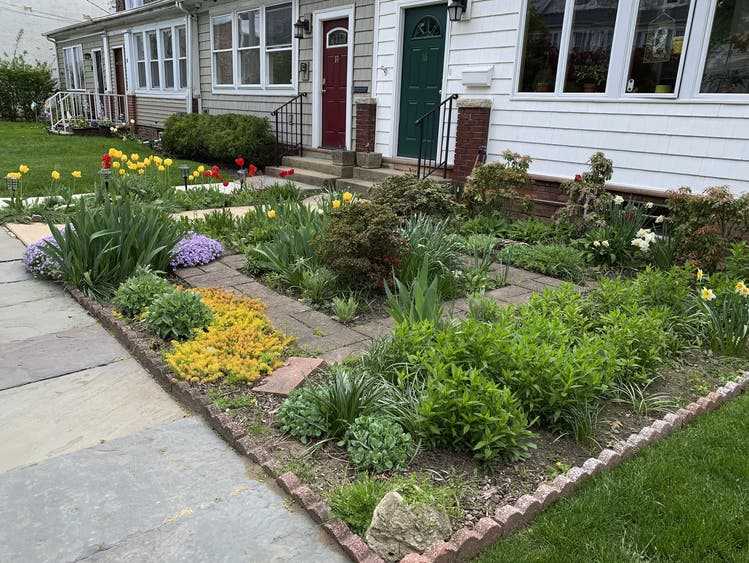 Surrounded by two lots with the typical front lawn, the owners of this townhouse in New Rochelle (New York) have instead opted for flowers and other plants - a new trend in the USA (2022).