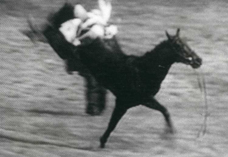 On April 4, 1981, Lester Piggott fell while racing at Epsom, narrowly escaping with his life.