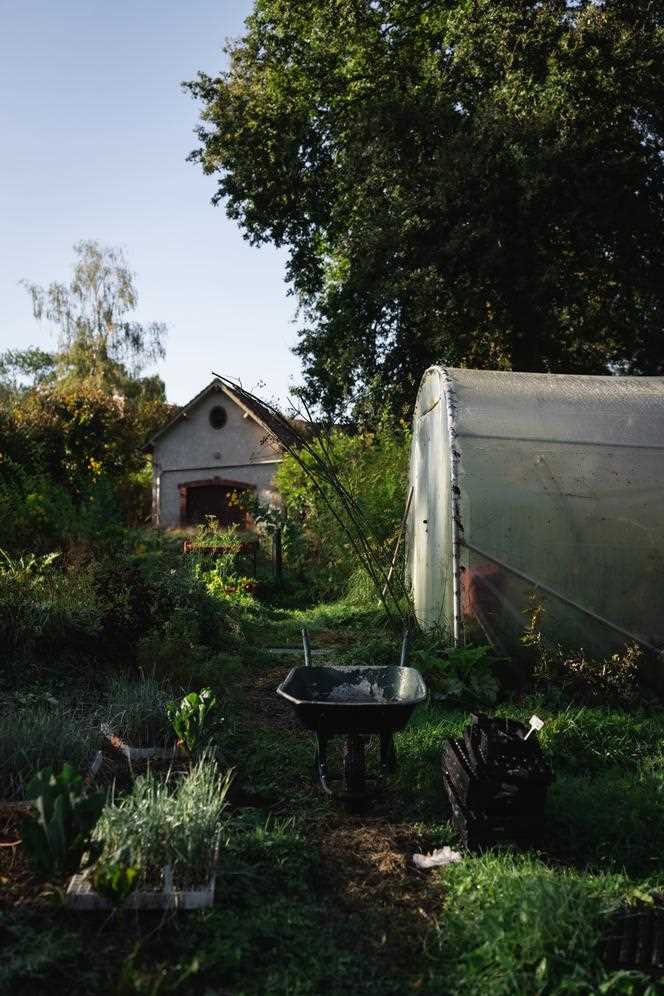 Chef Cybèle Idelot's vegetable garden, in her Bruyères estate, in Gambais (Yvelines).