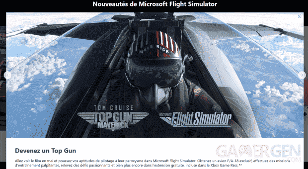 Flight Simulator Top Gun