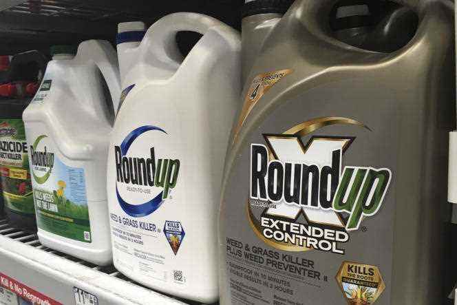 Cans of Roundup containing glyphosate in a store in San Francisco, California, February 24, 2019.