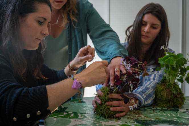 Making a kokedama as part of a workshop by the Be Vegetal! association, in Reims, on June 1, 2022. Once the plant has been rolled up in moss, the participants must make it into a ball and tie it like a roast.