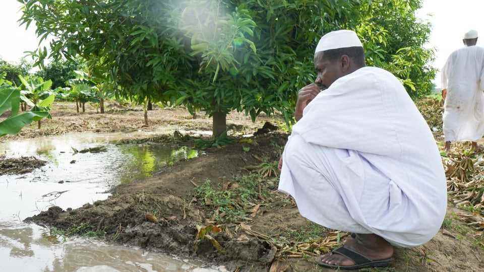 The Nile farmers drill a hole down to the groundwater.
