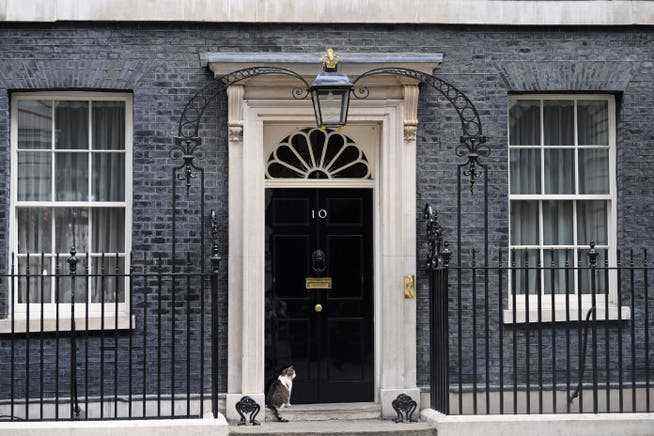 Zentrale Wohnung mit Katze sucht Nachmieter: Am 5. September zieht ein neuer Premierminister in die Downing Street 10 ein.