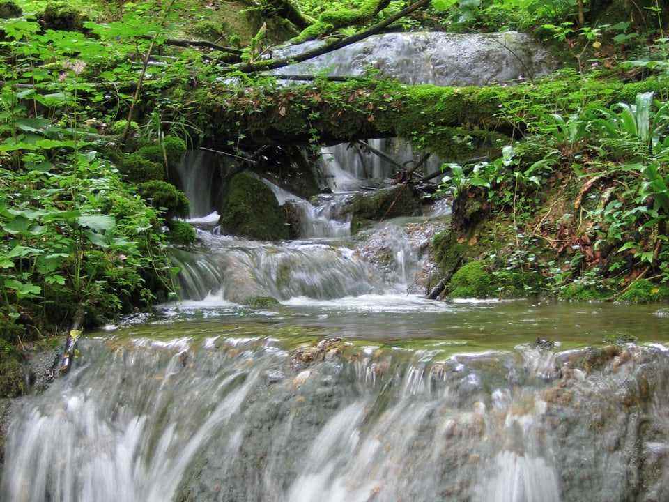 The picture shows a source of the Doubs Nature Park.