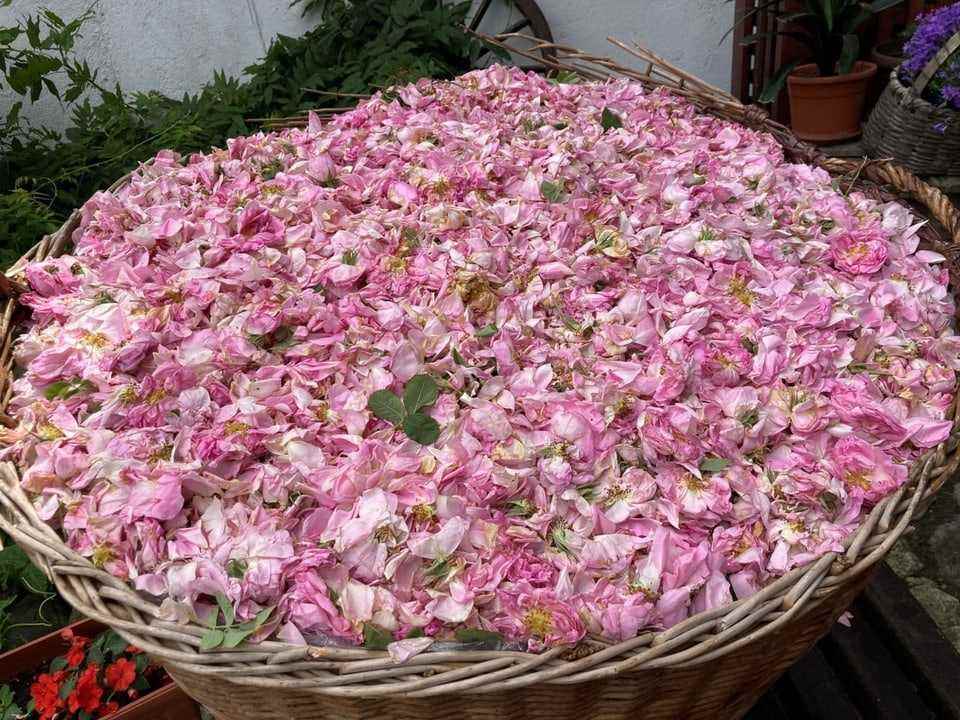 rose petals in a basket