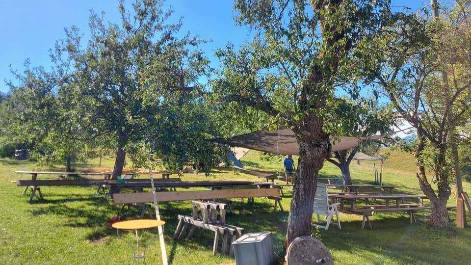Banquets under apple trees