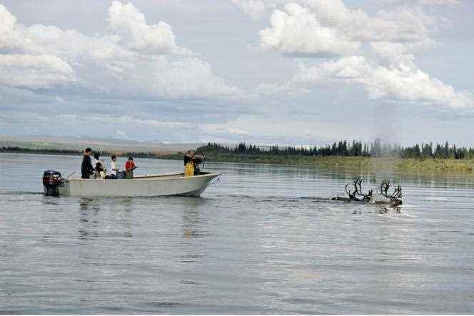 Using a powerful motorboat and automatic rifles, young Inuit hunt caribou on the Kobuk River, Alaska (USA), in May 2007. 