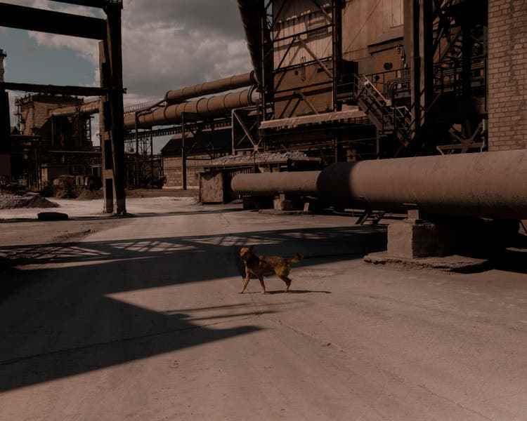 Since the outbreak of war, the Kriwi Rih steel mill has only been running at reduced capacity.