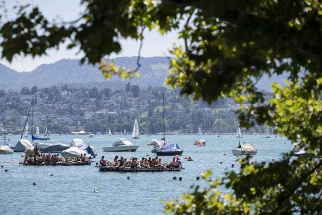 An heissen Tagen befinden sich viele Boote auf dem Zürichsee. 