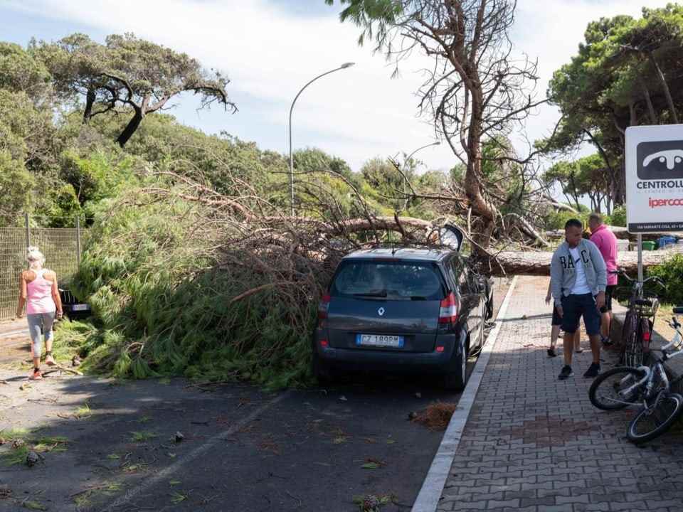 A fallen tree lies on top of a car.  Passers-by run through next to it.
