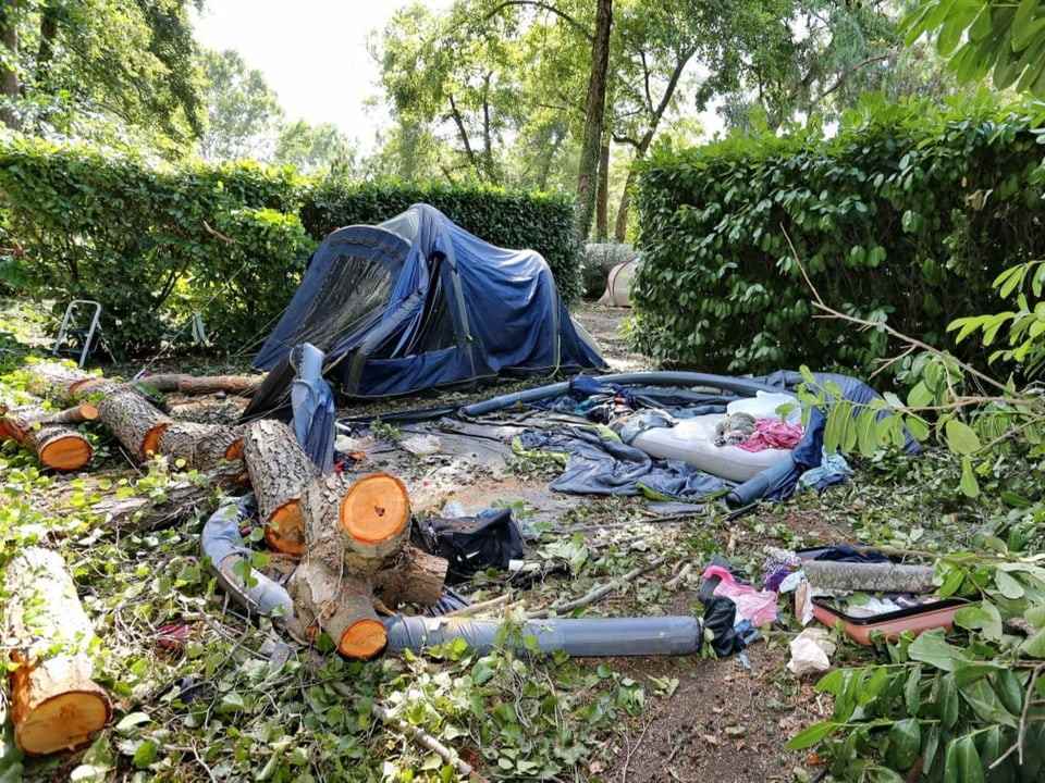 Two tents stand between hedges.  A tent is flattened.  Cut tree trunks lie next to it.