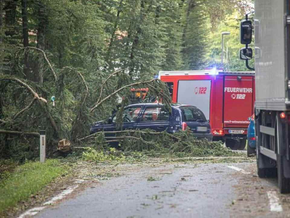 A fallen tree lies on top of a car.  Next to it is a fire truck.  The road seems closed.