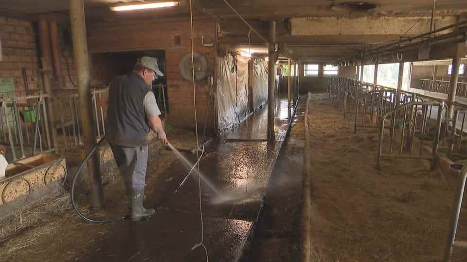 Farmer cleans stable.