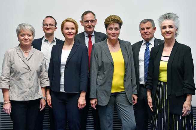 The Zurich Government Council in its current composition.  Six of the seven members have already announced that they will stand for another term.