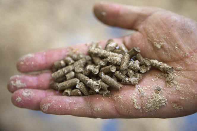 In one year, the price of a ton of wood pellets has doubled, going from 300 to 600 euros.