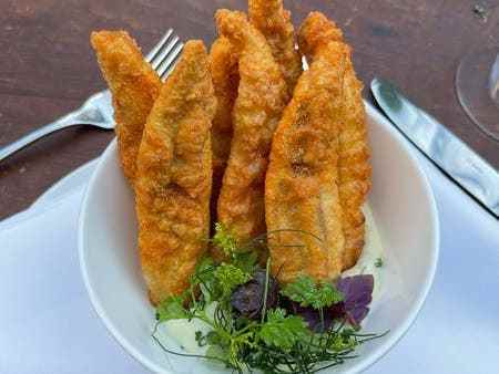 Fish crisps, served on a tartar sauce with a small herb salad.
