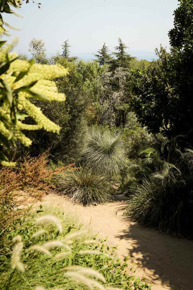 Gonzalez Park and its lush vegetation.