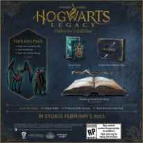 Hogwarts Legacy Hogwarts Legacy Collector's Edition PlayStation 14 09 2022