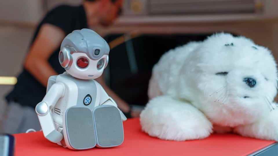 Robot and plush seal