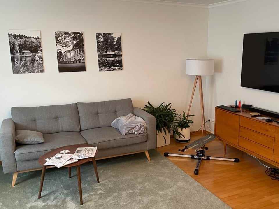 Living room with sofa and television