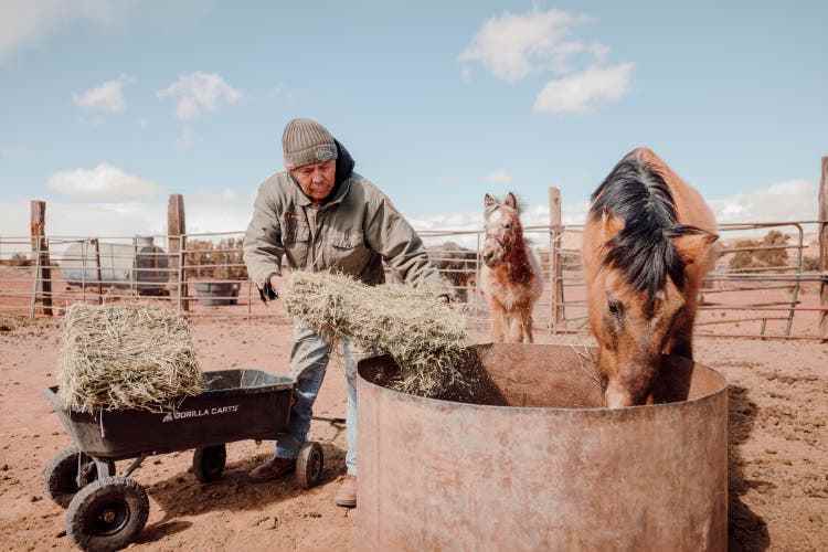 Leonard Sloan füttert seine Pferde täglich mit Alfalfa, einer Grasart, deren Anbau viel Wasser braucht. Früher hatte er eigene Weiden, heute muss er das Heu infolge der Dürre einkaufen und das Wasser kilometerweit von einem Brunnen transportieren.