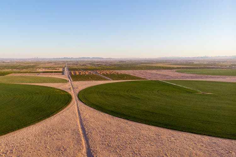 Die Alfalfa-Felder von Steve Redger, einem Bauern aus Kansas, der vor zehn Jahren nach Yuma, Arizona kam, da die Wassernutzung hier günstiger ist, auch wenn die Sprinkleranlagen aufgrund des Wüstenklimas rund um die Uhr laufen müssen.