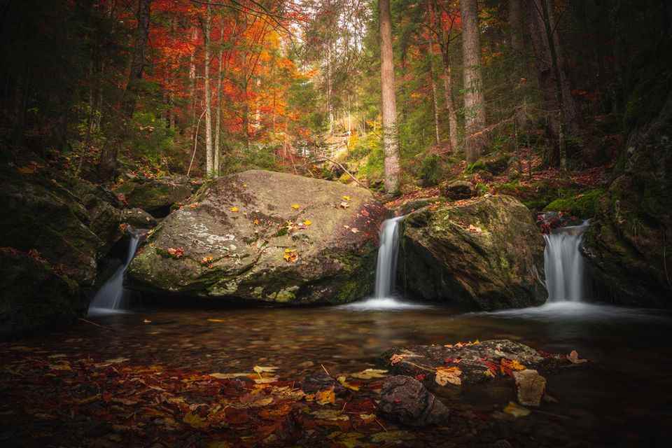 Golden October: Bavarian Forest