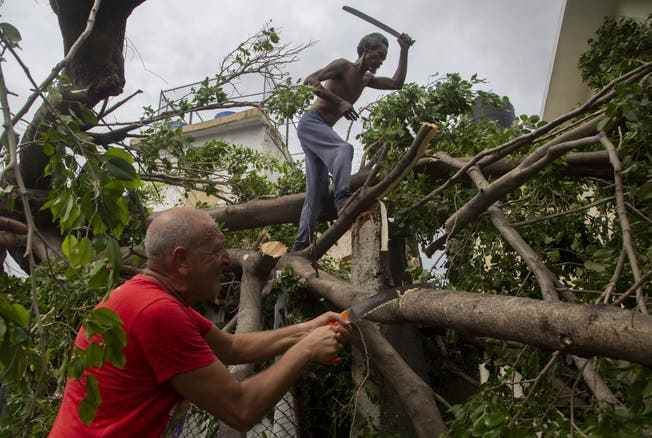 People in Havana are removing trees that have fallen because of 