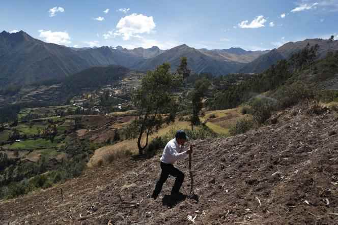 A farmer, in the rural community of Ayaviri (Cuzco, Peru), July 15, 2022.