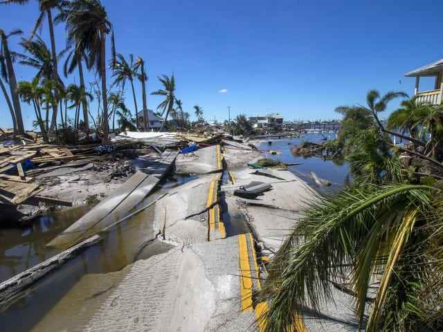 A destroyed street, on the side are palm trees that were visibly damaged by the hurricane.
