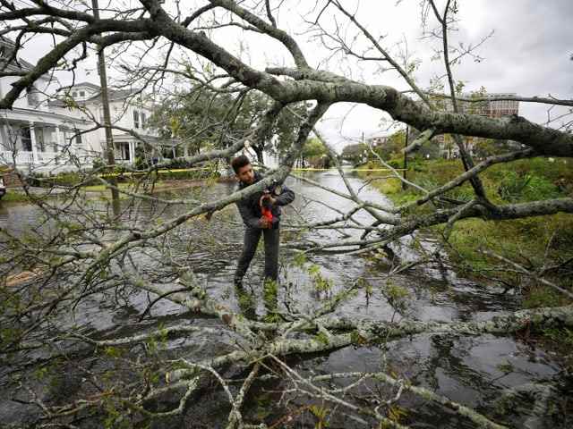 A man uses a chainsaw to cut branches from a tree that has fallen onto the road.