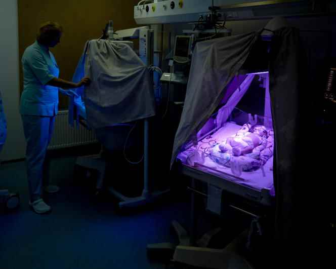 Babies are born prematurely due to the stress of the Russian bombardments on the city.  Olena Schadnykh, doctor, observes their state of health, at the regional maternity hospital in Zaporizhia, September 25, 2022.