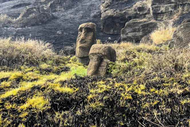 The fire ravaged hundreds of hectares of the national park and affected around 20% of the Moai statues.
