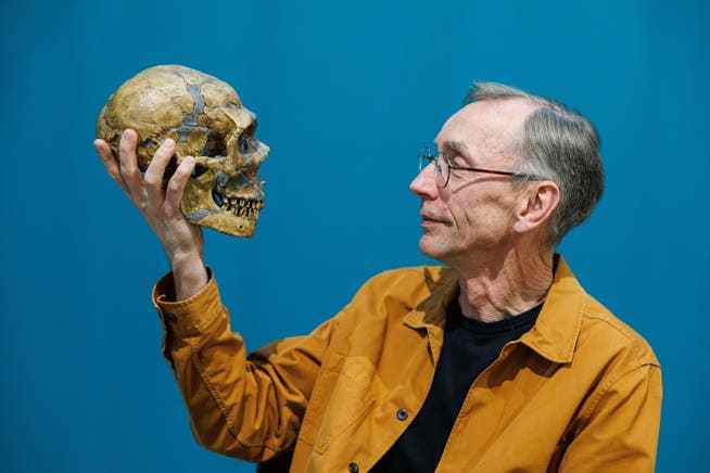 Svante Pääbo posiert nach einer Pressekonferenz mit einem Neandertaler-Schädel.