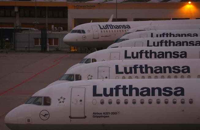 Strong demand for tickets and another record result from the freight subsidiary Lufthansa Cargo should help Lufthansa make billions in profits in the current financial year. 