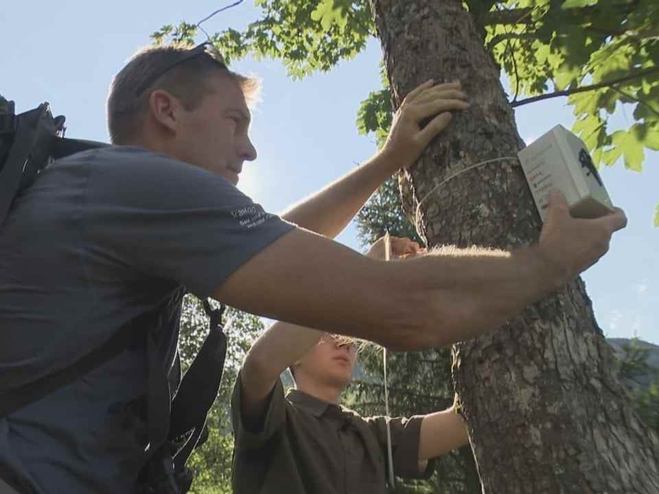 Game wardens and start-up founders while attaching the smart mic to the tree.