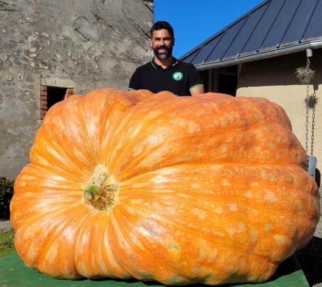 The 928 kg giant pumpkin with which Mehdi Daho became, for the third time in a row, French champion of giant pumpkin growers, on October 2, 2022, in La Roche-sur-Yon (Vendée).