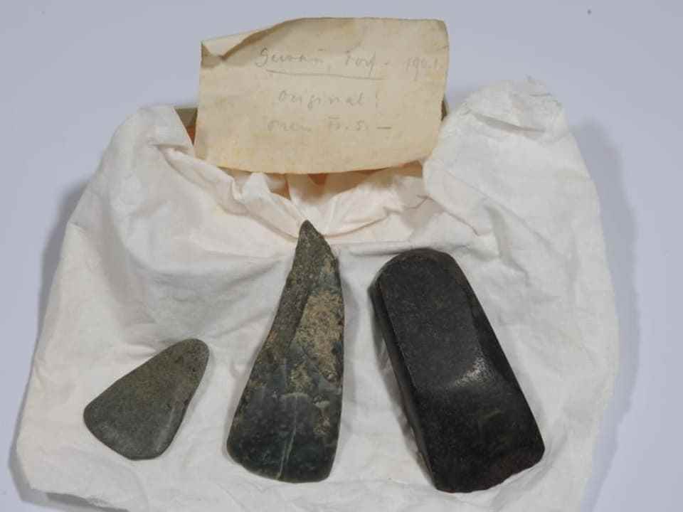   Neolithic stone ax blades from the collection. 