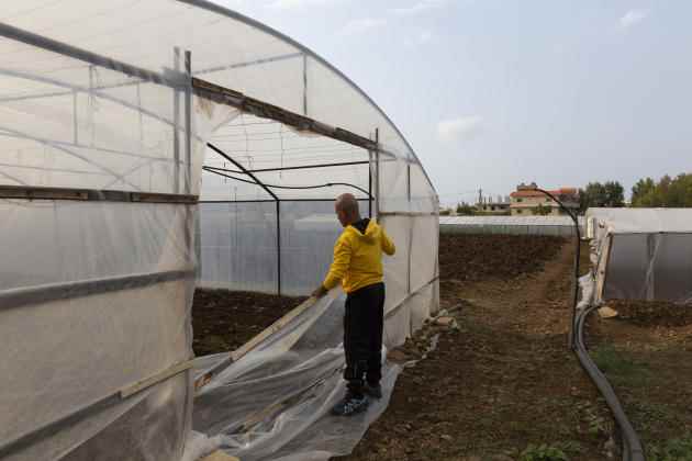 One of the greenhouses of Ahmad Ajaj, a farmer in Haryk, near the town of Bebnine, Tuesday November 1, 2022.