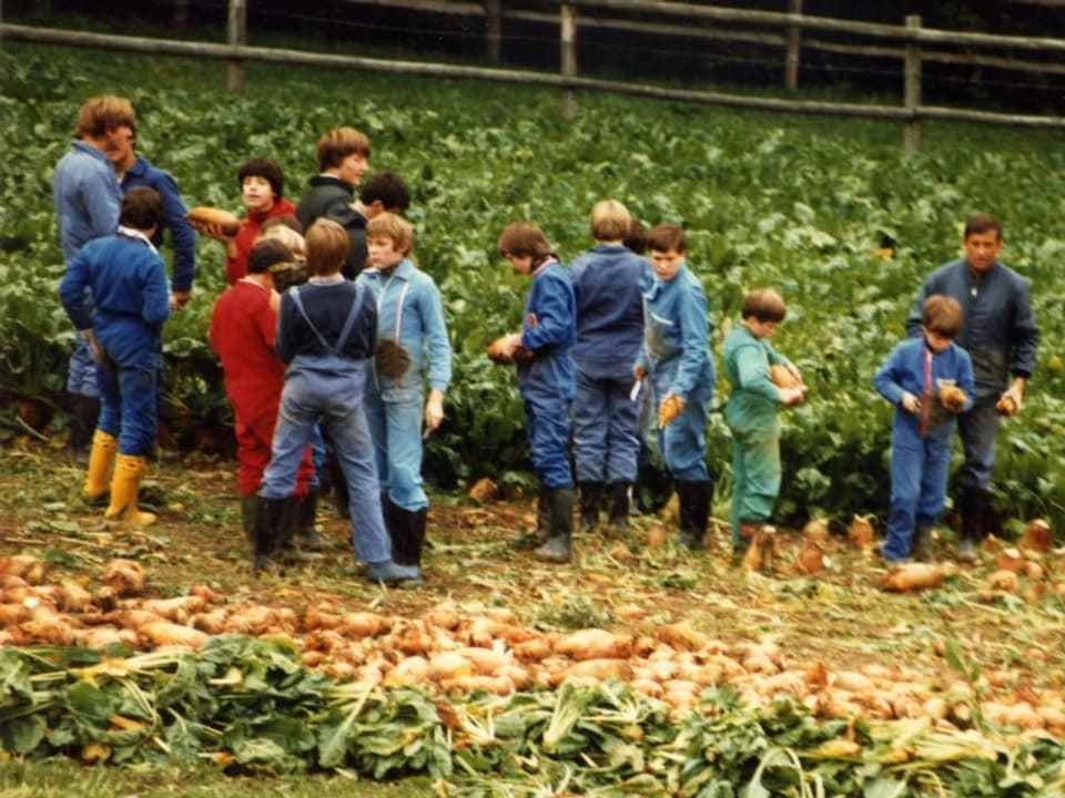 Many children at the harvest