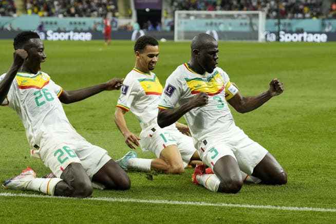 Senegal bejubelt das Weiterkommen.