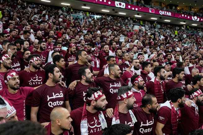 Bezahlt, um für Katar zu singen: Der dunkelrote Block besteht nicht aus Katarern, sondern aus jungen Männern, die für ihre Anwesenheit an den Katar-Spielen bezahlt wurden. 