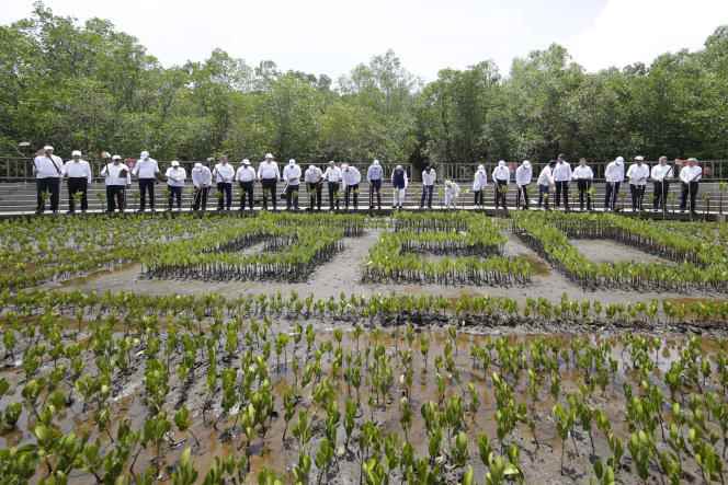 Leaders during a mangrove planting event on the sidelines of the G20 summit at Ngurah Rai Forest Park in Denpasar, Bali, Indonesia, November 6, 2022. 