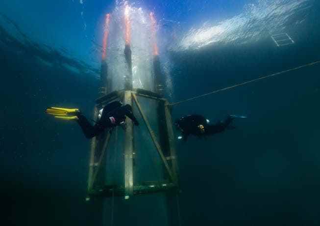 Research divers at the mesocosm at the level of the buoyancy bodies in which the mesocosm bags are suspended.