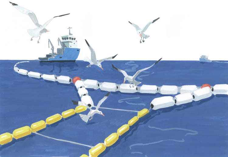 The organization The Ocean Cleanup collects large pieces of plastic using a barrier pulled by two ships and then fishes them out of the water.  Many scientists find this method dubious at the outset. 